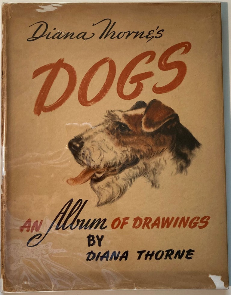 Item #66528 DIANA THORNE'S DOGS, An Album of Drawings. Diana Thorne.